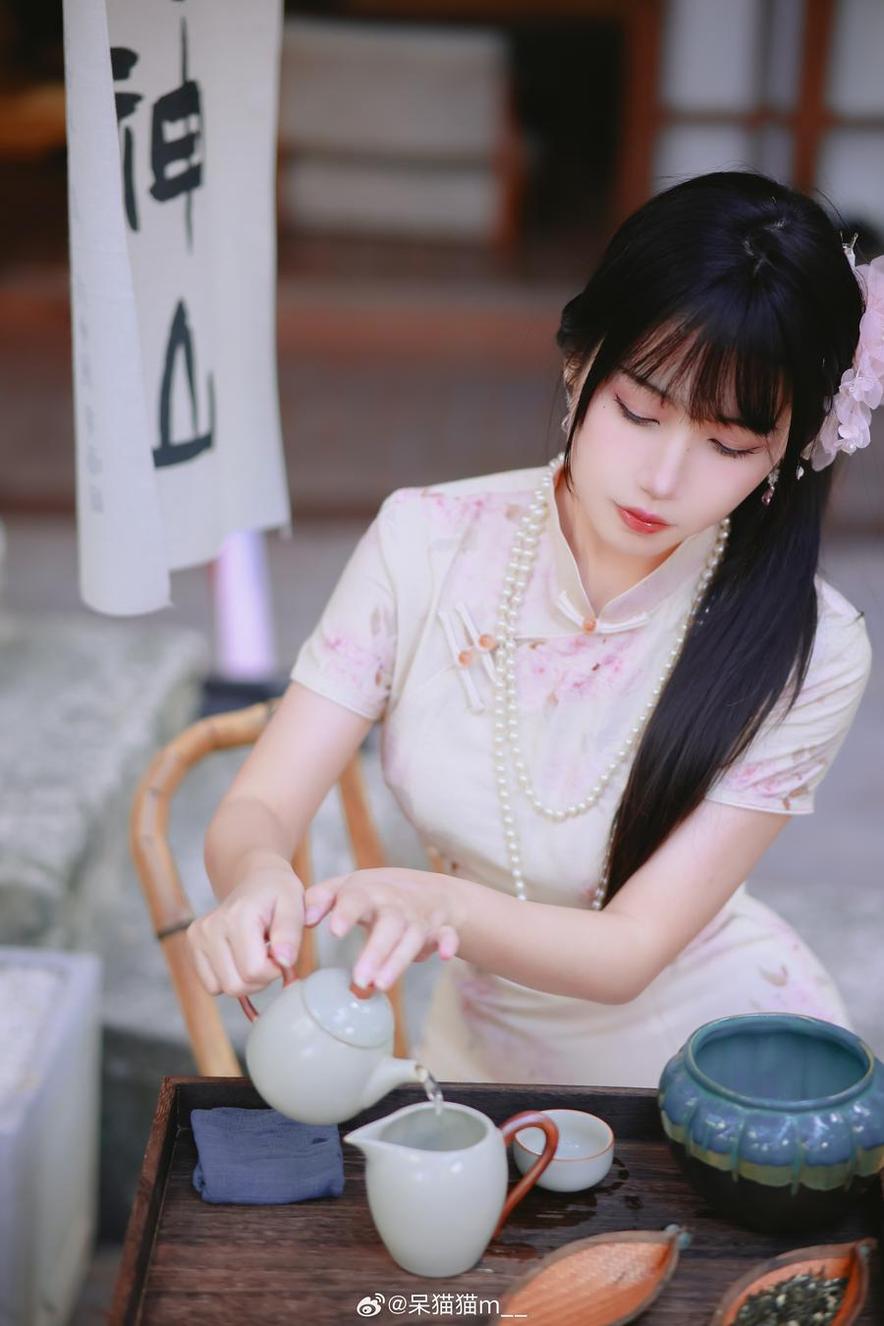 不呆猫连体摄影大合集，独特的视角感动人心