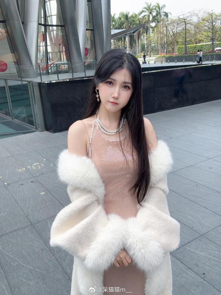 不呆猫绷带缠绕，图包奉上神仙手艺