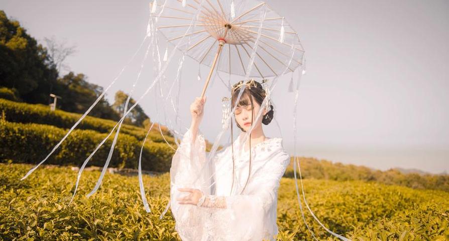 你的负卿圣人惠，图片摄影，定格如画永流传。