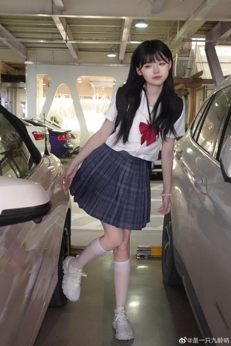 是一只九龄写真，照片合集，年度必备美图