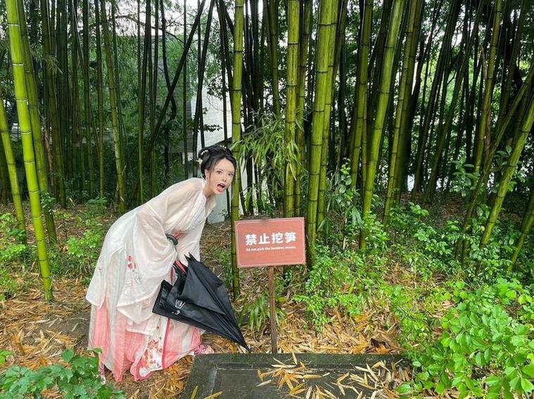 秋和柯基诸车网：最新图包发布，快来一睹芳容
